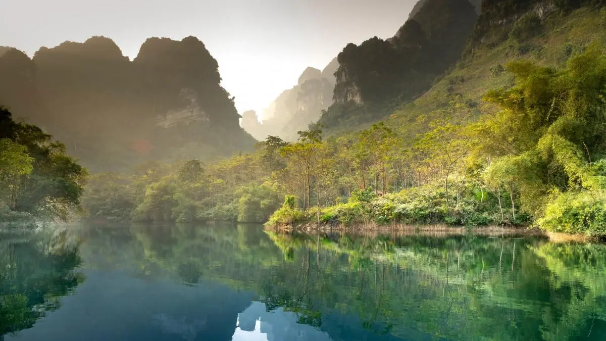 高效环保环保